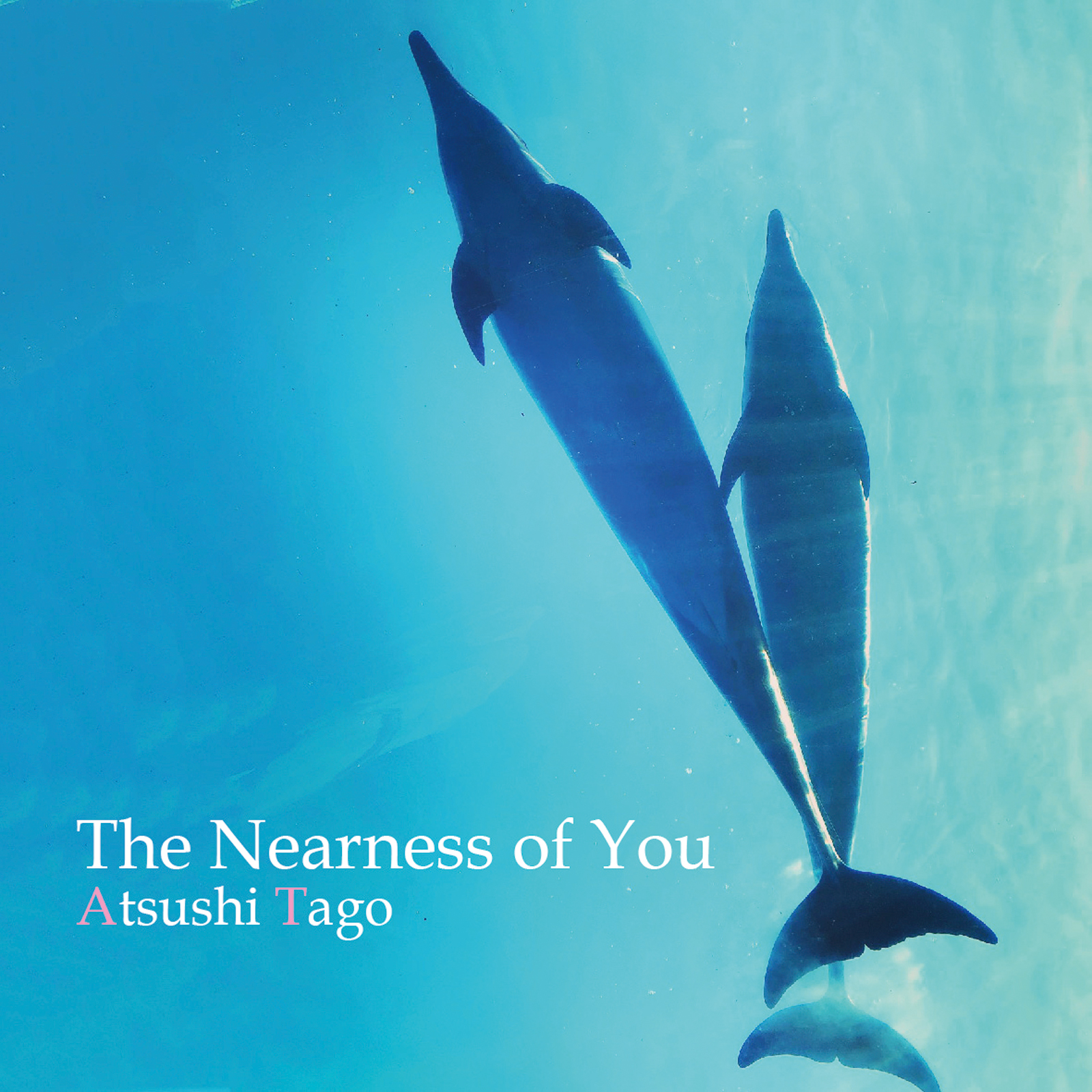 The Nearness of You