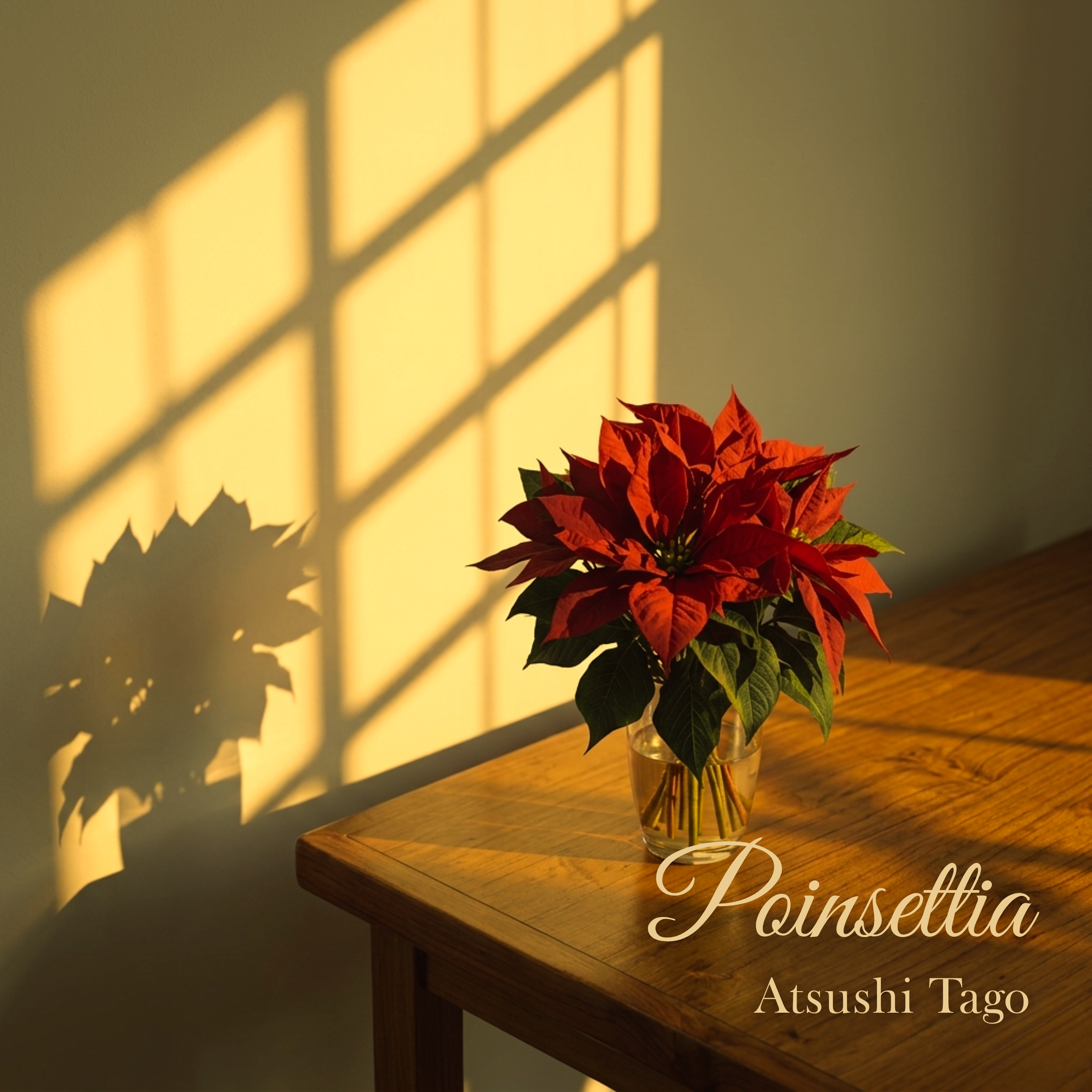 ポインセチア